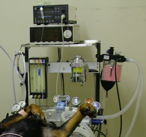 general anaesthetis