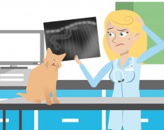 screenshot from Webinar Club infomation video showing confused clinician