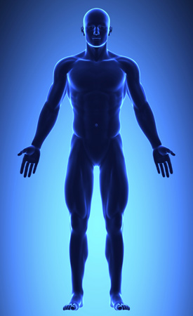 Proprioception