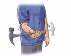 infographic depicting human pronation and supination of forearm