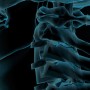 human neck radiographic image
