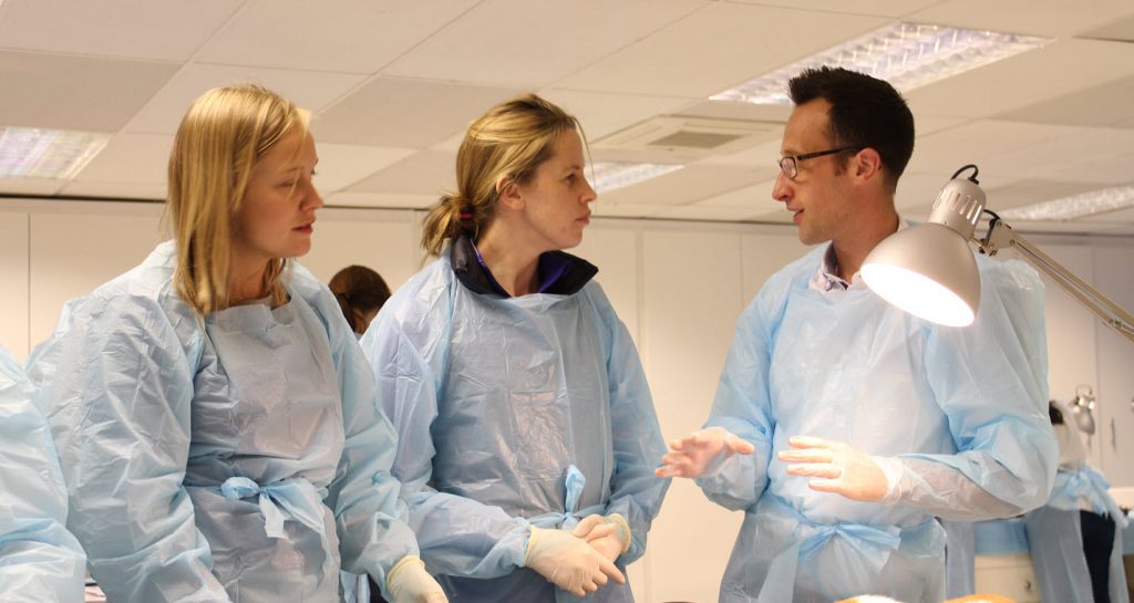 learn veterinary orthopaedic skills with cpd solutions
