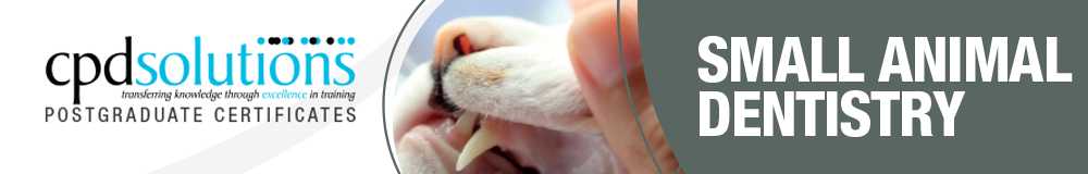 Icon for Small Animal Dentistry Postgraduate Certificate